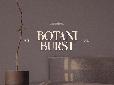 Nineties Style Serif font | OV Cotin alternates font branding corporate design extra bold font font font family font in use free font graphic design label font logo logo font nostalgic font regular font semi bold font serif serif font variable font web design