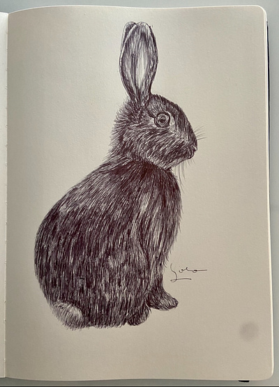 ANDIE ART GALLERY ATHENS ballpen ballpendrawing design drawing illustration rabbit sketch