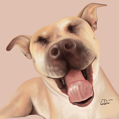 Mr. Théodore dog graphic design photo realism pitbull procreate