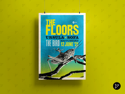 THE FLOORS - Grasshopper Rodeo poster band work design for bands graphic design illustration music poster promotional graphics
