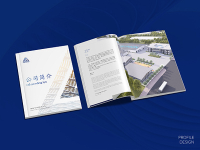 PICONS - Construction Company Profile annual report branding brochure company construction graphic design logo profile