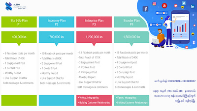 Infographics Pricing Plan branding design graphic graphic design graphs illustration inforgraphics logo typography ui ux vector