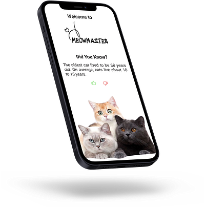 Mobile App Design For Cat Lovers