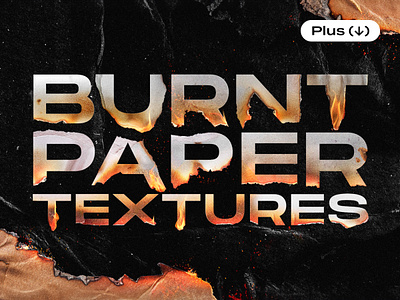 Torn & Burned Paper Textures ashes burn burnt collage download fire flame fragments graphics grunge paper pieces pixelbuddha png ripped template texture torn transparent