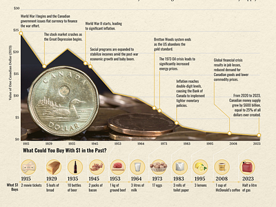 The Value of a Loonie data visualization data viz design educational graphic infographic infographics