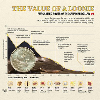 The Value of a Loonie data visualization data viz design educational graphic infographic infographics