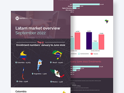 Latam market overview data visualization data viz design educational infographic infographics informational infographic statistics