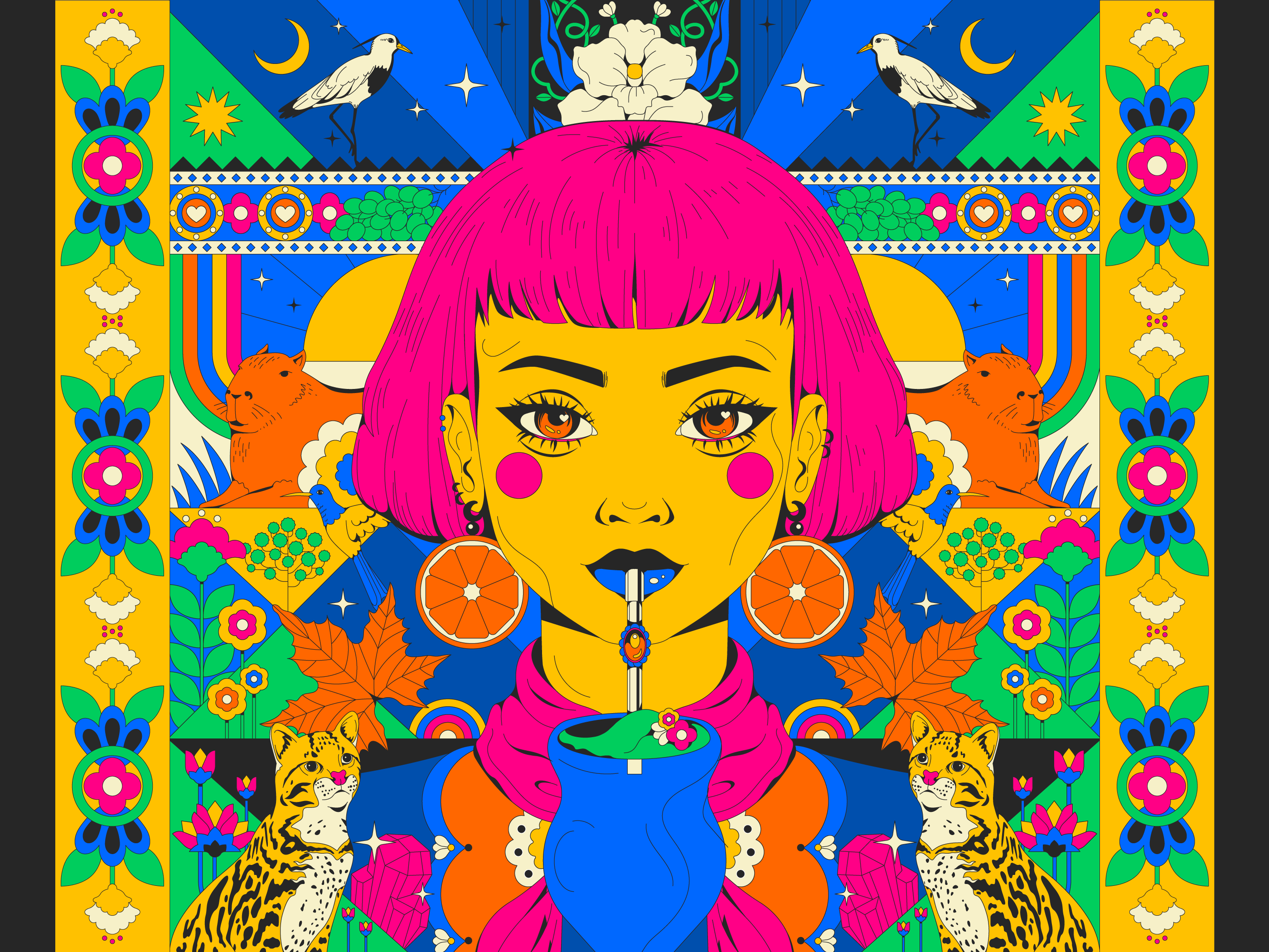 RS Brazil - Fauna, Flora and Culture adobe illustrator animals bird capybara chimarrão fashion flat flowers gems illustration illustrator nature orange pattern pink pink hair rainbow tiger vector woman