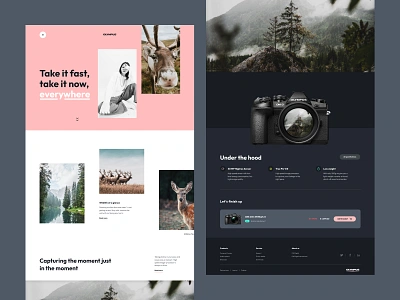 Olympus Camera Onepager 🌲 ⛰️ 📷 branding camera coral desktop figma grey landingpage monochrome olympus onepager photography scroll transition ui