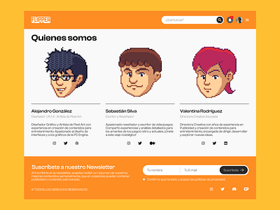 Flipper About Us Concept 2d game gaming image interface mag magazine orange pixel pixel art retro retrogaming ui ux videogame vintage web web magazine website white