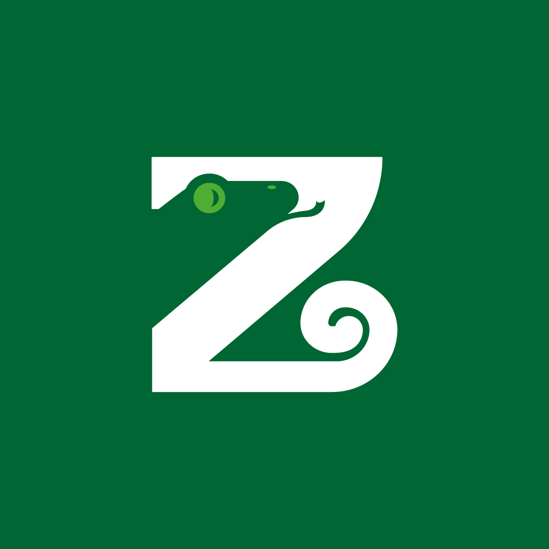 Z lizard logo animal animation brand branding design graphic design letter z lizard logo logo design mascot