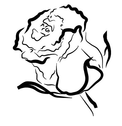 Lovely Rose using Illustrator art illustrator rose
