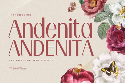 Andenita – An Elegant Sans Serif Font sans serif elegance