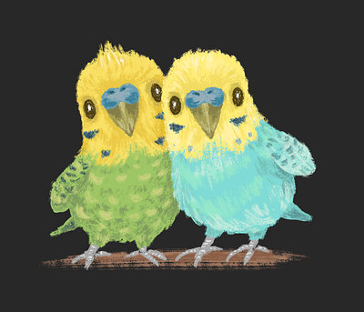 Two parakeets animal bird character illustration pet