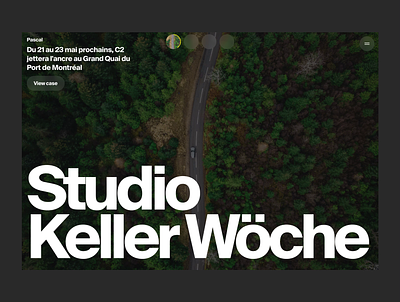 Studio Keller Wöche Website layouts bold che consulting dark e comemrce editorial green grid shopify studio swiss typo typography ui ux valery che