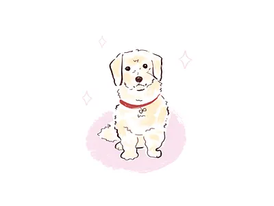 Cute dog. illustration for social media adobephotoshop art branding cute design dog drawing friend giftideas graphic design illustration lifestyle lineart logo minimalisticstyle pets sketch socialmedia ui website