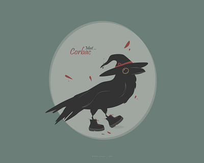 Meet Corbac animal animal design character design crow crow illustration graphic design illustration vector illustration witch character