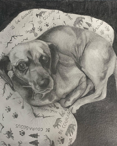 Puggle drawing fine art graphite drawing pencil drawing