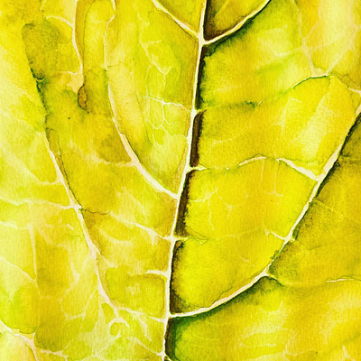 Leaf fine art painting watercolor