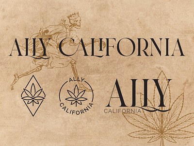 Ally California Logo, Badges and Stamps exploration adobe illustrator cc badge branding branding concept cannabis cannabis brand design design concept flat graphic design hemp illustration logo marijuana minimal retro typography vector vintage weed