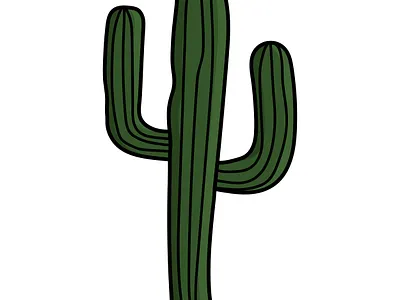 Vector illustration cactus animation cactus graphic design illustration vector