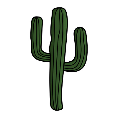 Vector illustration cactus animation cactus graphic design illustration vector
