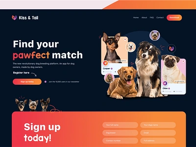 Kiss & Tail - Dog Breeding App blue colorful digital design dog breeding graphic design modern orange pet pet tech industry user friendly uxui we design web design web development webflow