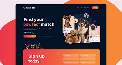 Kiss & Tail - Dog Breeding App blue colorful digital design dog breeding graphic design modern orange pet pet tech industry user friendly uxui we design web design web development webflow