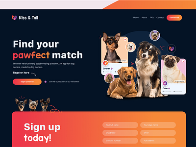 Kiss & Tail - Dog Breeding App blue colorful digital design dog breeding graphic design modern orange pet pet tech industry user friendly uxui we design web design web development webflow