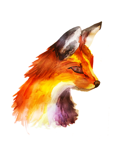 Fox fine art painting watercolor