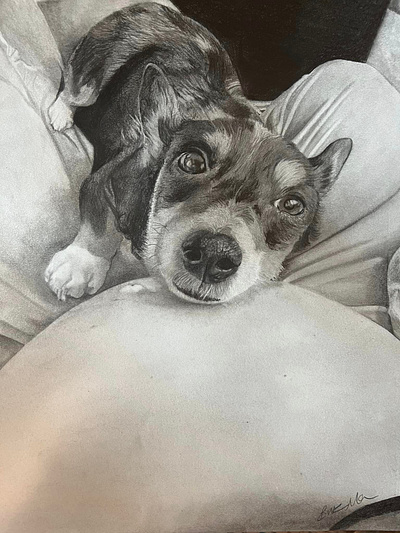 Puppy Cuddles on Baby Bump drawing fine art graphite drawing