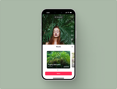 TikTok Nature - Species identifier ui