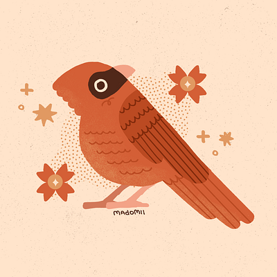 cardinal design graphic design illustration