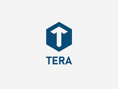 TERA Logo coin crypto design graphic logo monogram typography