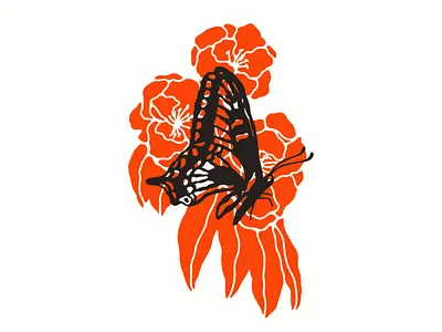 Camellias & Anise Swallowtail anise swallowtail bold color butterfly butterfly illustration camellias flowers and butterfly flowers illustration illustration illustrator nature illustration red and black red and black illustration simple color simple illustration washington illustrator
