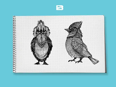 Same bird, different angles | Blue Jay angles animal art bird birds blue bluejay bluejays book cross hatch dot grid drawing illustration jay pad series shading sketch sketchbook sketchpad