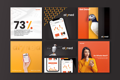 Alyned Social Media Graphics adobeillustator branding design graphic design illustration logo logodesign modern socialmedia vector