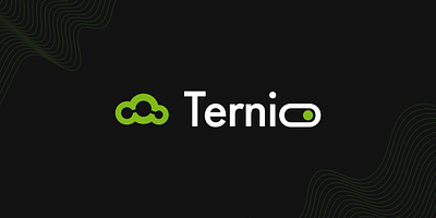 Ternio Primary Logo brand brand book brand identity branding call center design graphic design logo logo design primary logo secondary logo vector