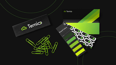 Ternio & TernioSwitch Branding Package brand guidelines brand identity brand rules branding design graphic design identity identity design logo logo design