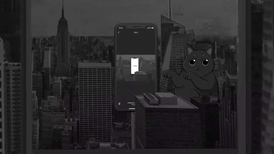 Cat in the city 2d advertising animation branding motion graphics socialmedia tiktok