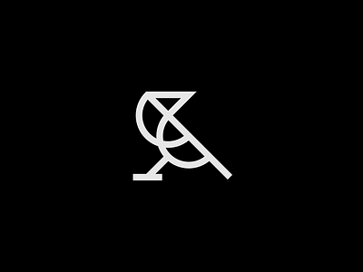 White crow branding design graphic design icon logo minimal vector