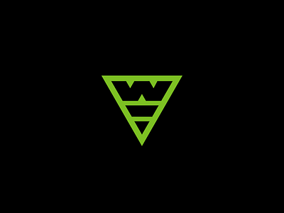 WT brandidentity branding design logo logodesign logodesigner logotype typography