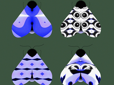 Moth 🦋 after effects animation butterfly gif illustration insect kaleidoscope moth nature ui