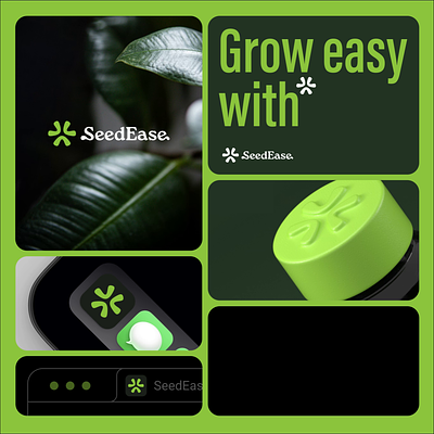 SeedEase 3d branding graphic design logo motion graphics