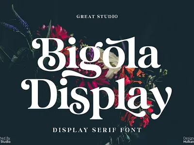 Bigola Display display serif elegant serif fonts modern serifs serif fonts type design typeface