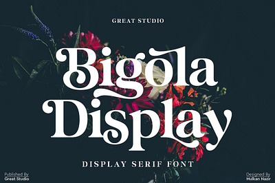 Bigola Display display serif elegant serif fonts modern serifs serif fonts type design typeface