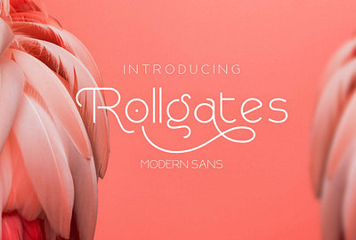 Rollgates Modern Sans elegant italic modern sans serif font