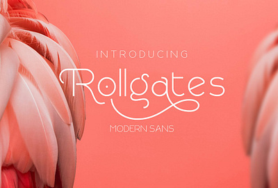 Rollgates Modern Sans art elegant italic modern sans serif font