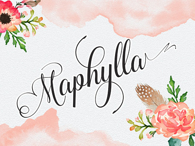 Maphylla Fonts calligraphy handwritting typeface