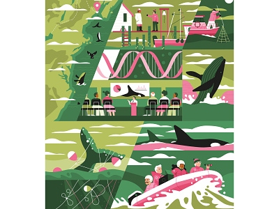 Campobello Whale Rescue Team adobe boat character clouds conservation digitaldesign dna green illustrator mission muti ocean pink rescue research scientist vector whale